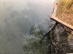 -百脉泉景区