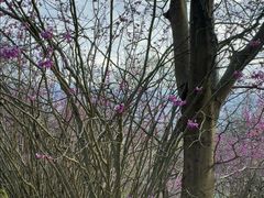 -天台山赤城山景区