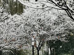-城市运动公园(未央区)