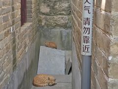 -天朝元辅-徐州民俗博物馆