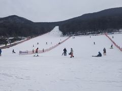 -五家山森林公园滑雪场