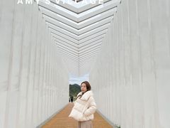 -艾米稻香小镇