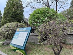 -沈阳植物园