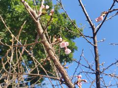 -观澜湖生态运动公社