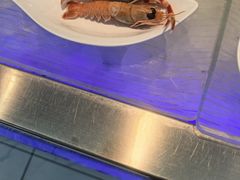 -春华海鲜城(广场西苑店)
