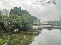 -荔湾湖公园