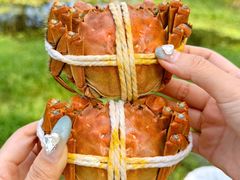 -丫丫蟹庄·苏式园林农家乐·阳澄湖大闸蟹(阳澄湖莲花岛店)