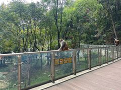 -黔灵山公园
