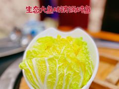 娃娃菜-老刘生态大鱼坊铁锅炖鱼(赛马场店)