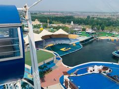 -秦皇岛乐岛海洋王国