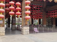 -南宫五洲植物乐园