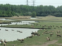 -溱湖国家湿地公园