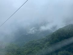 -牛背梁国家森林公园