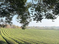 -敬亭山风景名胜区