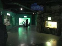 -常州海昌海洋探索馆