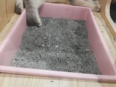 -屋虎猫馆(宝安大仟里店)