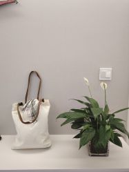 -龄斓·问题肌精准护理