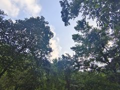 -宁海森林温泉