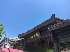 -上海醉白池公园