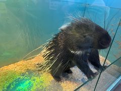 -FAIRYLAND龙族星球主题餐厅(凯丹广场店)