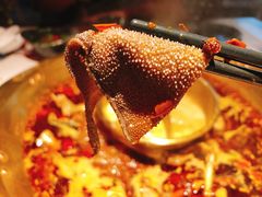 -哥老官重庆美蛙鱼头(龙湖杭州金沙天街店)