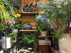 -爱尚幸福鲜花(上地实体店)