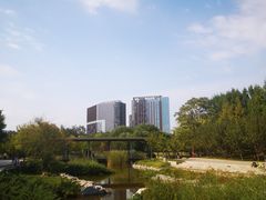 -大望京公园