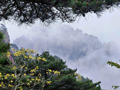 -黄山风景区