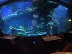 -迪拜帆船酒店海底餐厅