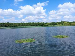 -溱湖国家湿地公园