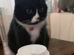 -么么咖啡(燕郊店)