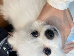 -联合动物医院(光谷诊疗中心)