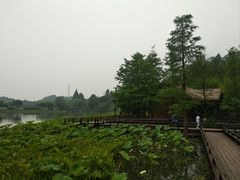 -八卦田遗址公园