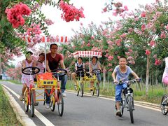 -武汉紫薇都市田园