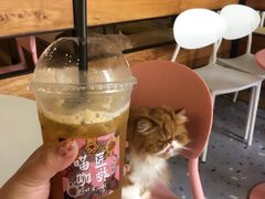 -喵匠猫主题咖啡(凯德和平广场店)