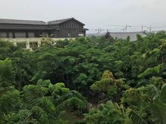 -西双版纳融创皇冠假日度假酒店