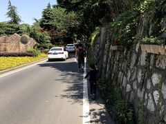 -紫金山索道-售票处