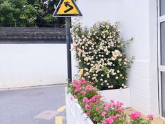 -航天馒头(瞻园路店)