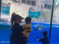 -华夏文旅海洋公园