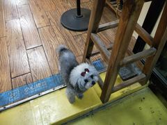 -志龙皇冠吃货椰子铺