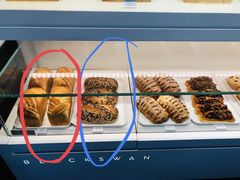 -BLACKSWAN黑天鹅(环球店)