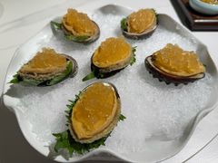 秘制冻鲍鱼-荟廷·晶萃(陆家嘴尚悦湾店)