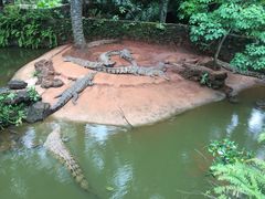 -海南热带野生动植物园