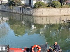 -绍兴大禹开元观堂-若耶厅