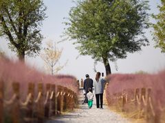 -汉长安城未央宫国家考古遗址公园