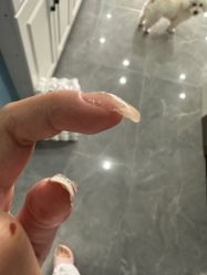 -米小兔美甲美睫