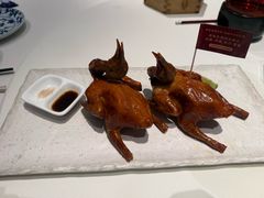 -侨美·唐荔园·40年地道粤菜