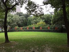 -上海交通大学医学院附属瑞金医院(总院)