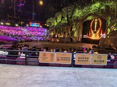 -广州长隆国际大马戏