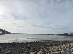 -宝安西湾红树林湿地公园